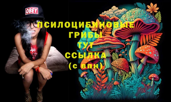 мяу мяу мука Козловка